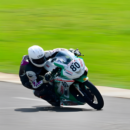 FMSCI – Federation of Motor Sports Clubs of India